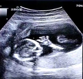 Pauline profile icon