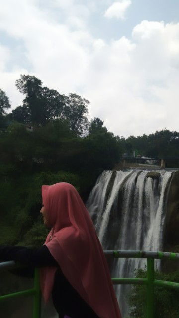 imma rotus profile icon