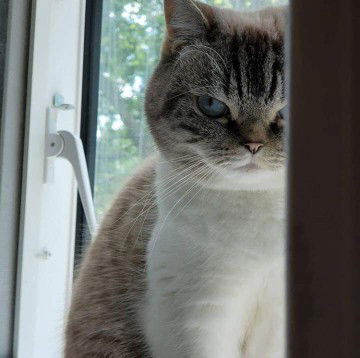 Mdm Abie profile icon