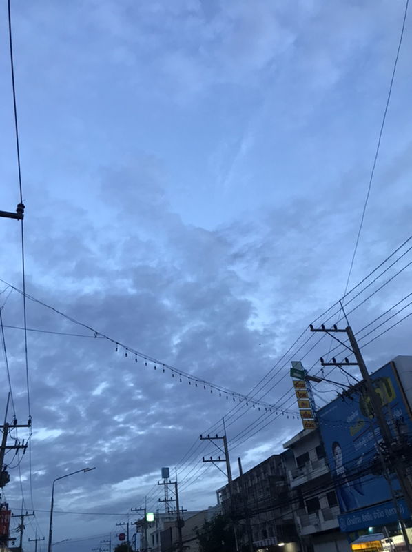 chomping profile icon