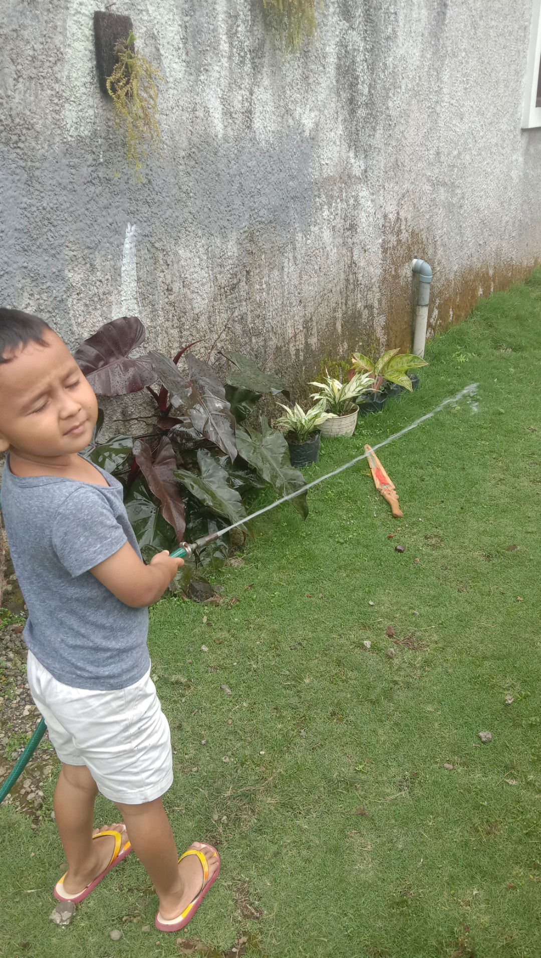 ella susi sumaningsih profile icon