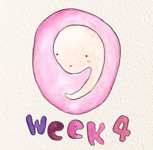 moninoi profile icon