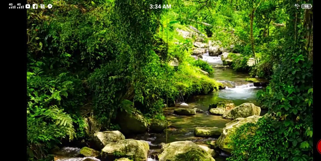 Mariel Chu profile icon