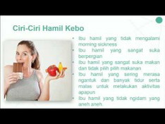 hamil kebo