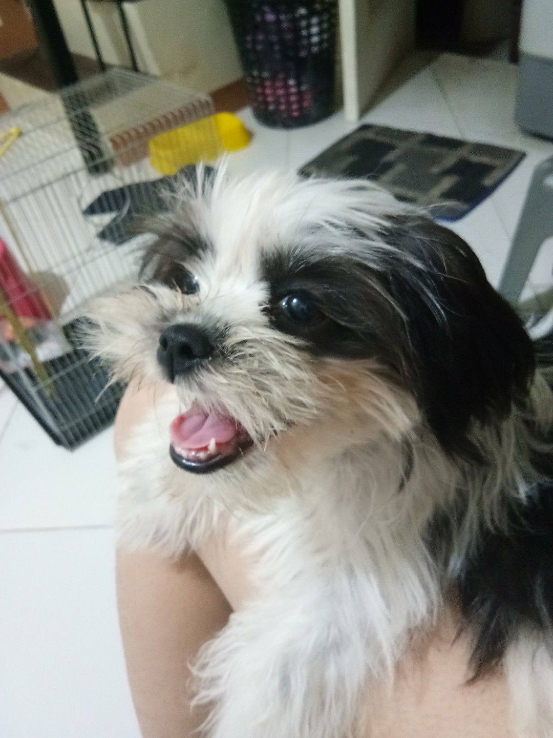 Jen Eyah profile icon