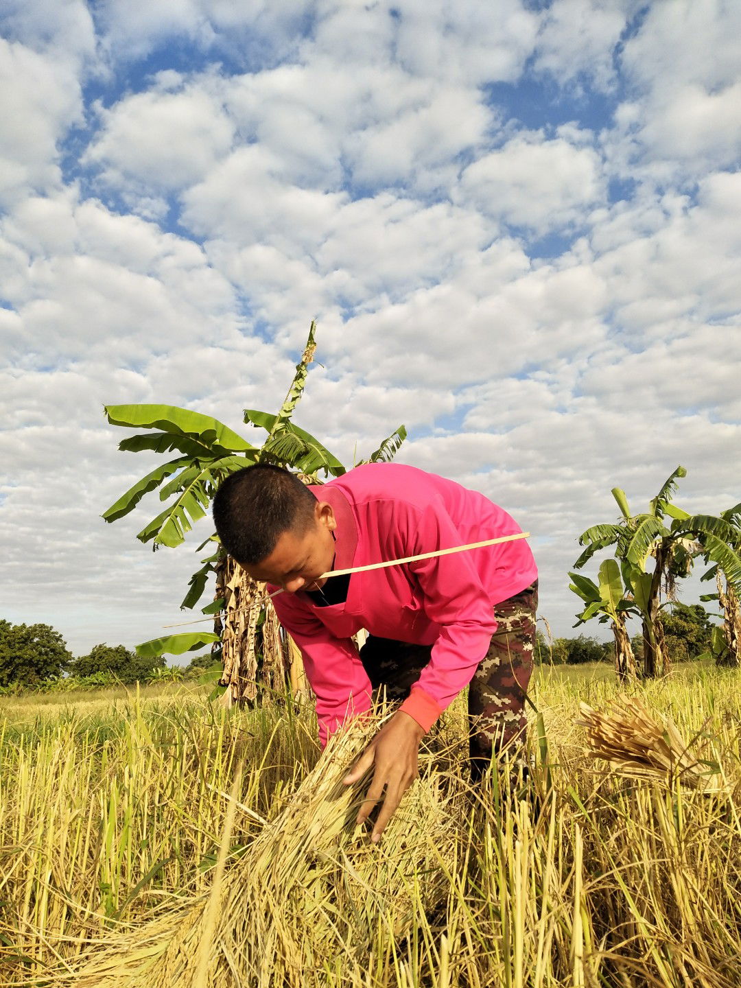 บักบอม profile icon