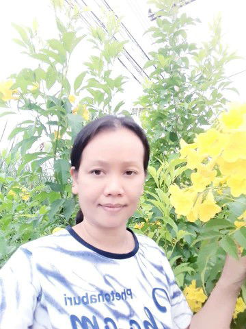 นิตย์ อ่อนศรี profile icon