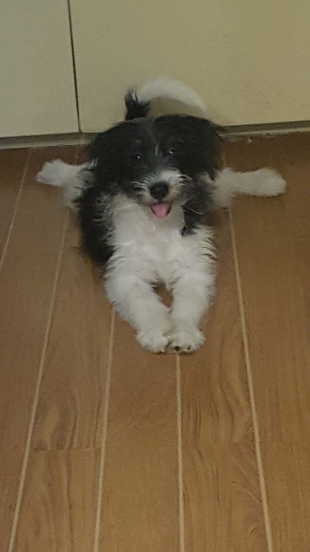 Brezza Jane Dunn Macapayag profile icon