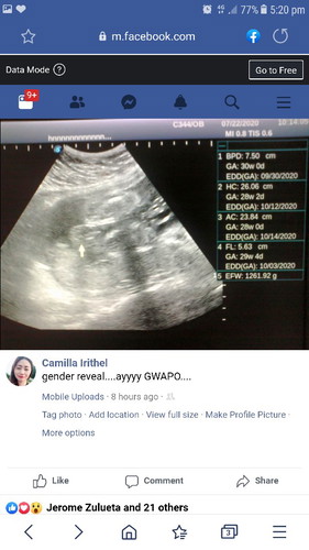 gender reveal