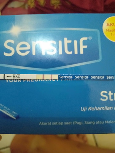 tes kehamilan