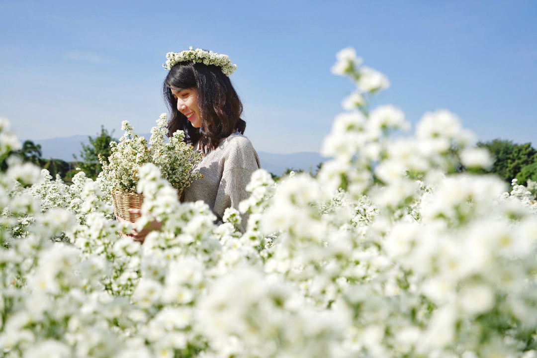 วิลันดา profile icon