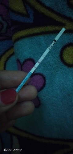 ayah apa kabar saat bunda hamil muda?