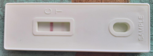 PT