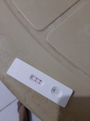 Pregnancy Test