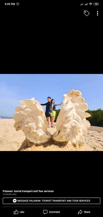 чєrвuα profile icon