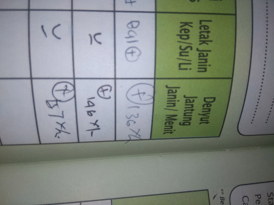 LETAK JANIN