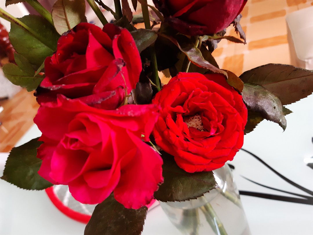 Bị va đập khi mang thai có chấn động tới bé không?