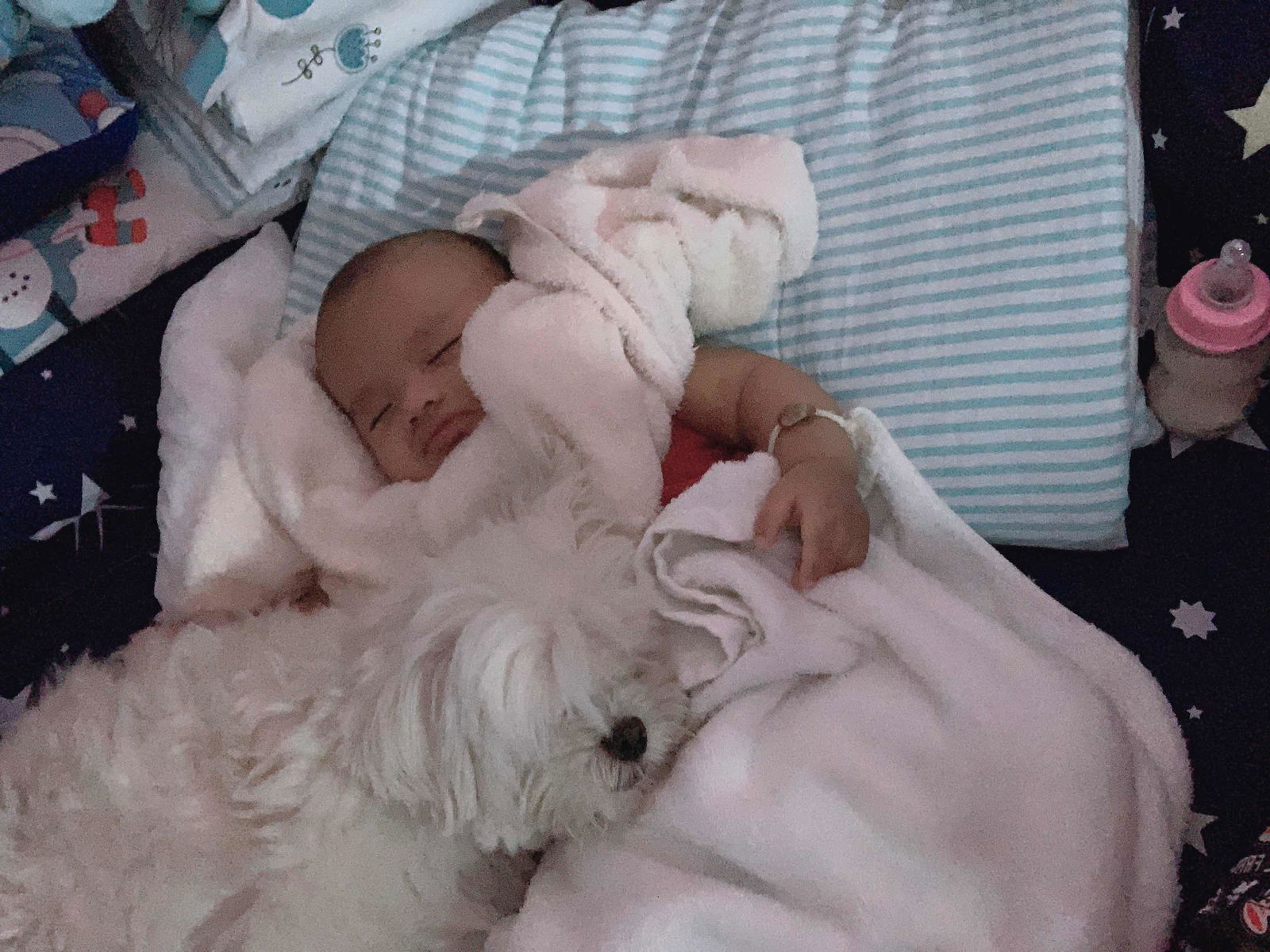 Meili Rüngtiwā profile icon