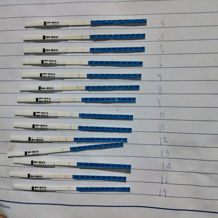 แบบนี้ไข่ไม่ตกใช่ไหมค่ะ