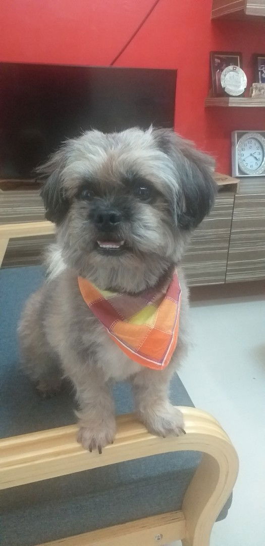 Margarette profile icon