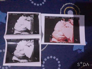 Joan Acas profile icon