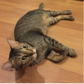 สุนิสา นงนุช profile icon