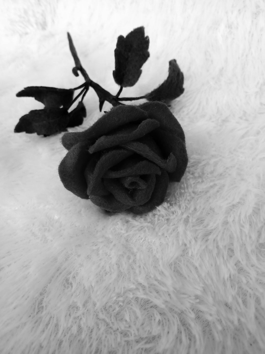 Aninbilla profile icon