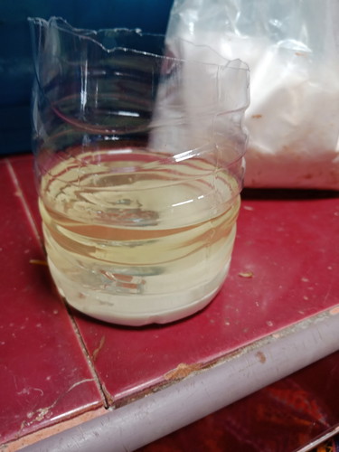 แบบนี้ญหรือช