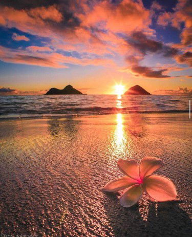 Mommy Joy profile icon