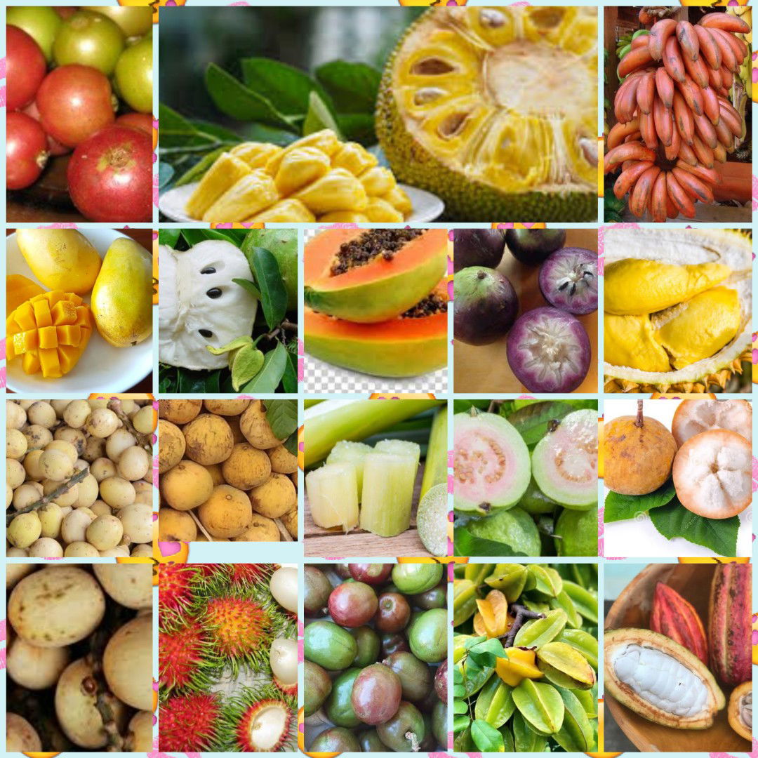 Aifah bee profile icon