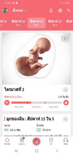 15สัปดาห์แล้ว