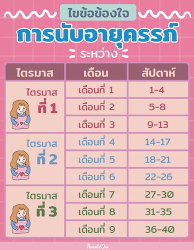 รอวันได้เจอหนู