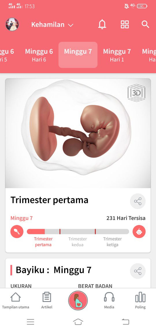 7 minggu tapi tidak mual