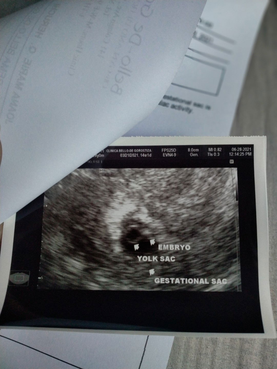 Joana Marie Heruchi profile icon