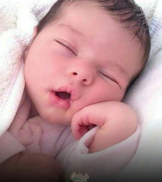 Quiela Bernales- Acedo profile icon