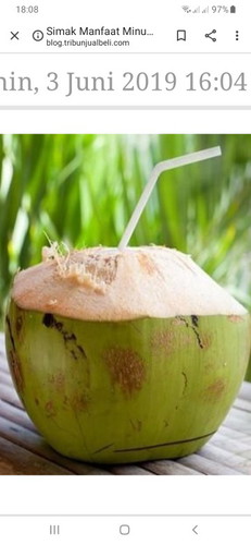 air kelapa