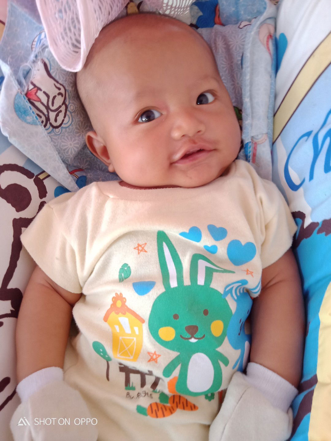 Dani Dani profile icon