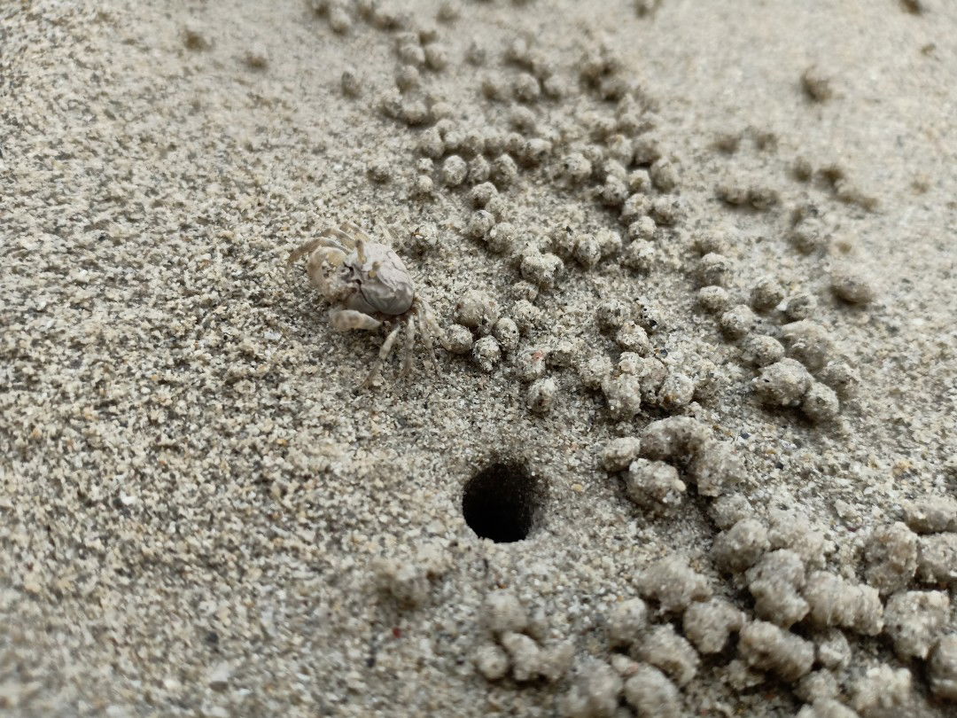 อาร์ตตี้ profile icon