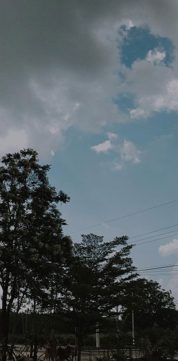 rattanawalee profile icon