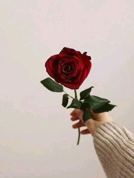 NovaAndriani profile icon