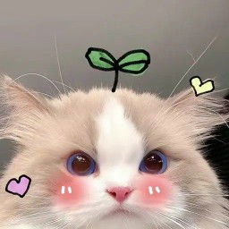 Jean Espinosa profile icon