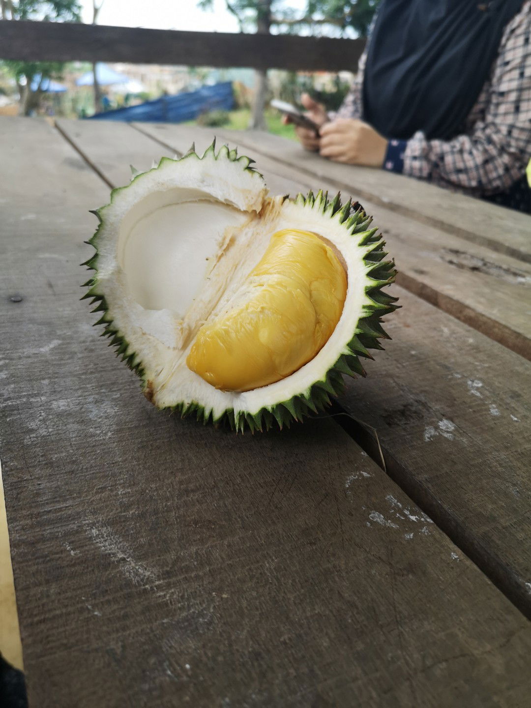 nur sazwi Nordin profile icon