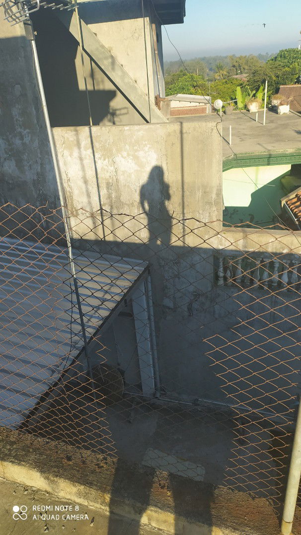 Prime Dante profile icon