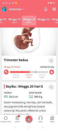 gerakan janin