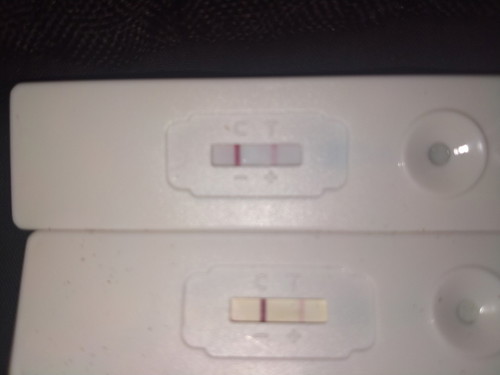 is this positive or negative .