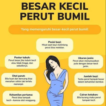 yang mempengaruhi besar kecil nya perut bumil
