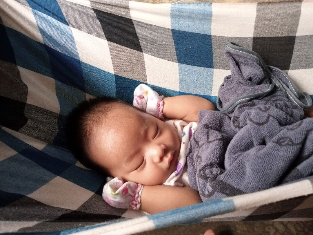 เซอร์ เฟิน profile icon