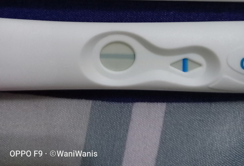 Pregnancy test