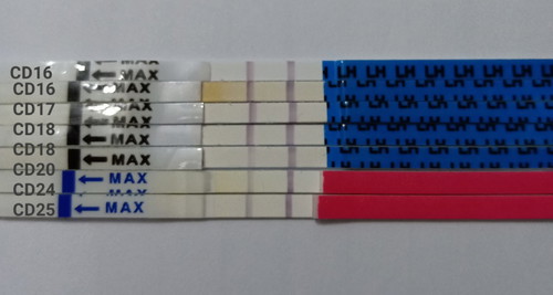 Mudah mudahan Insha Allah ada rezeki bulan Ramadhan 2020