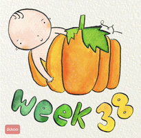 Thunsuda profile icon